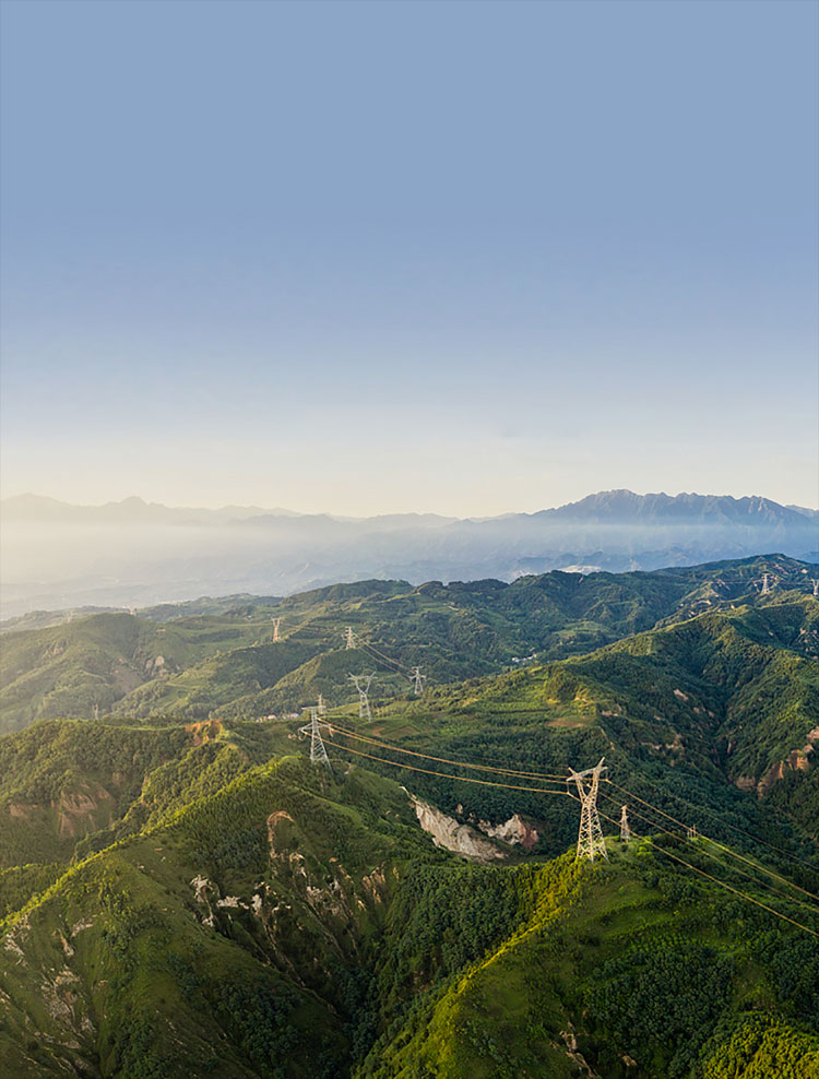 鸿运国际股份